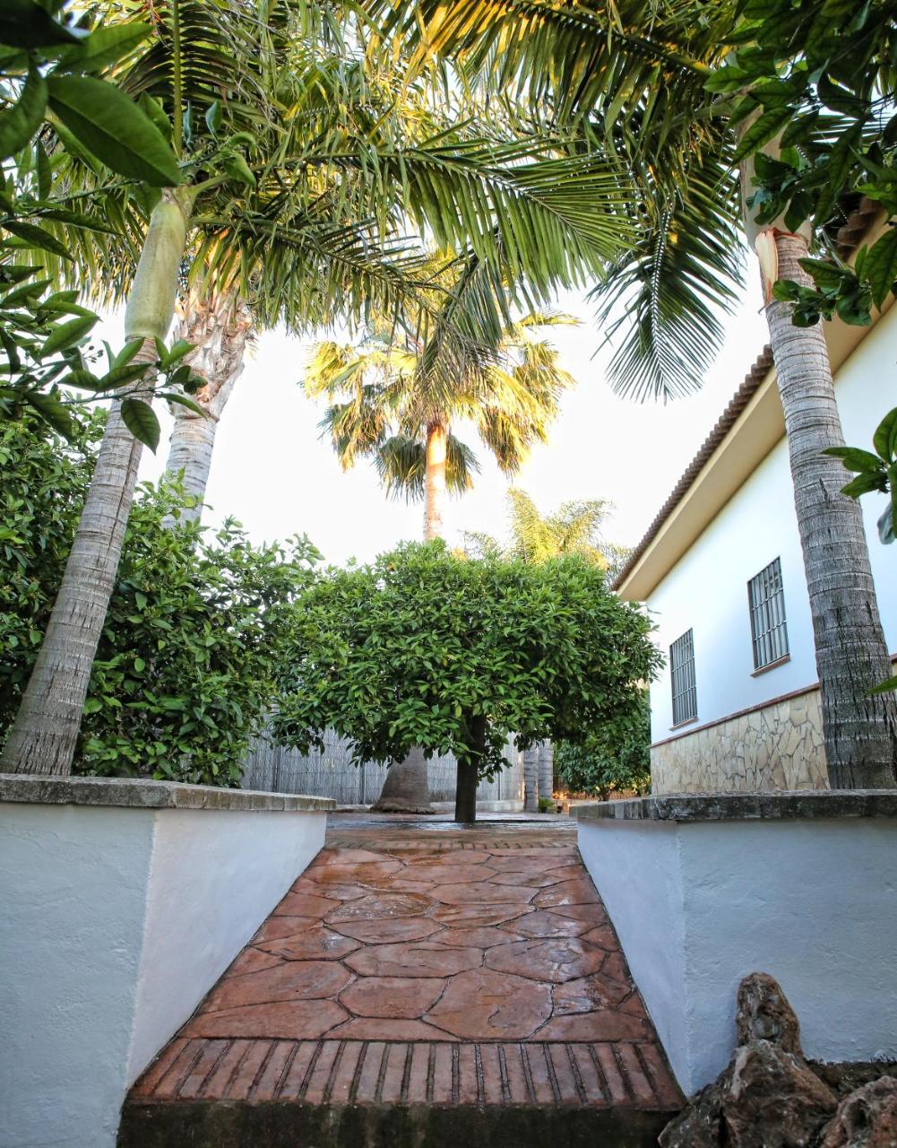 Casa Rural Tipica Andaluza, Wifi,Piscina, Barbacoa, Aire Acondicionado, 5Min Centros Alhaurín el Grande Eksteriør billede