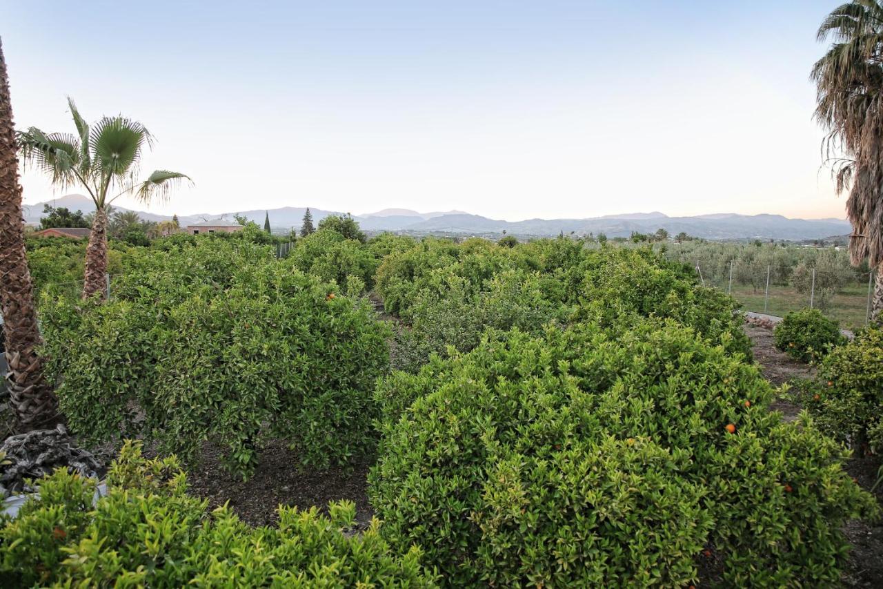 Casa Rural Tipica Andaluza, Wifi,Piscina, Barbacoa, Aire Acondicionado, 5Min Centros Alhaurín el Grande Eksteriør billede